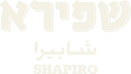 Shapiro Beer